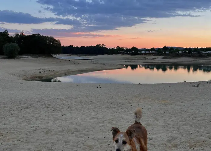 El Socaire Del Trasgo-complejo De 펜션 *